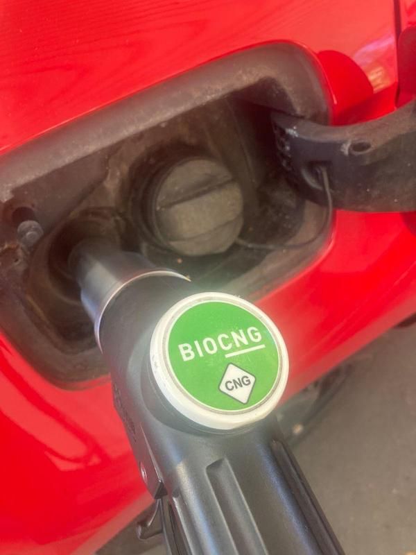 Rot Gebraucht 2020 Seat Ibiza Kleinwagen | 9.800 € (Guter Preis) - Bild 1/1