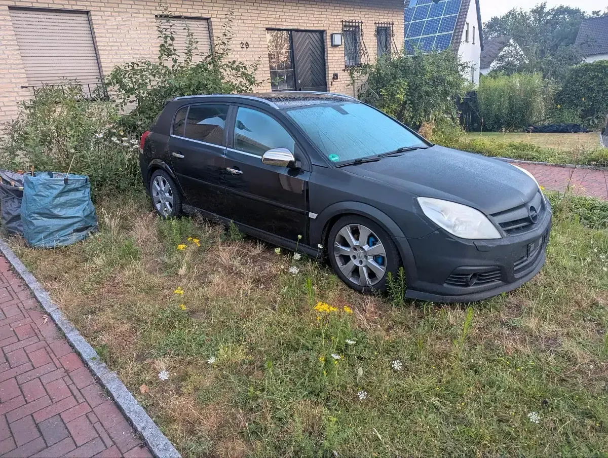 Gebraucht Opel Signum 150 PS (110 kW) 2007 Schwarz Kleinwagen