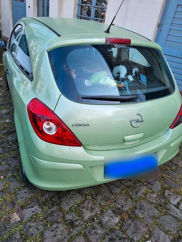 Gebraucht Opel Corsa 80 PS (58 kW) 2009 Grün Kleinwagen