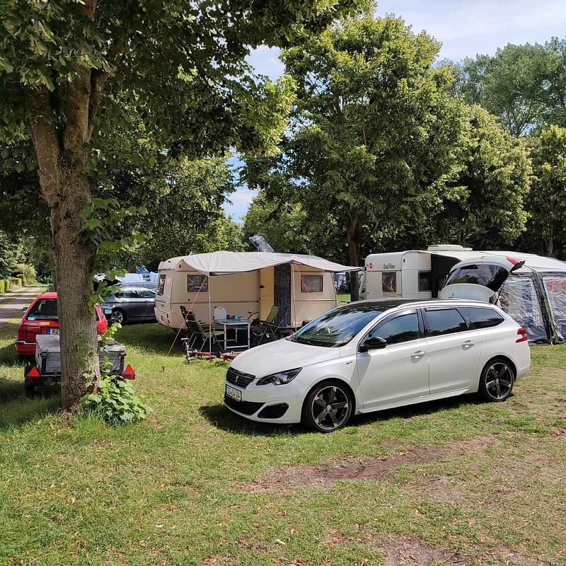 Gebraucht Peugeot 308 SW GT-line 180 PS (132 kW) 2015 Weiß Kombi