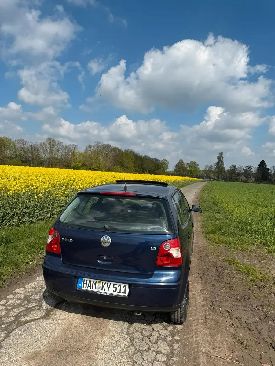 Gebraucht VW Polo 60 PS (44 kW) 2002 Violet Kleinwagen