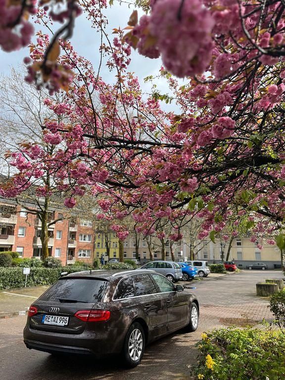 Gebraucht Audi A4 177 PS (130 kW) 2013 Braun Limousine