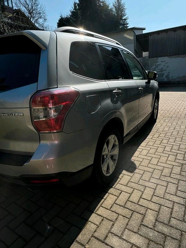 Gebraucht Subaru Forester 2015 Grau SUV