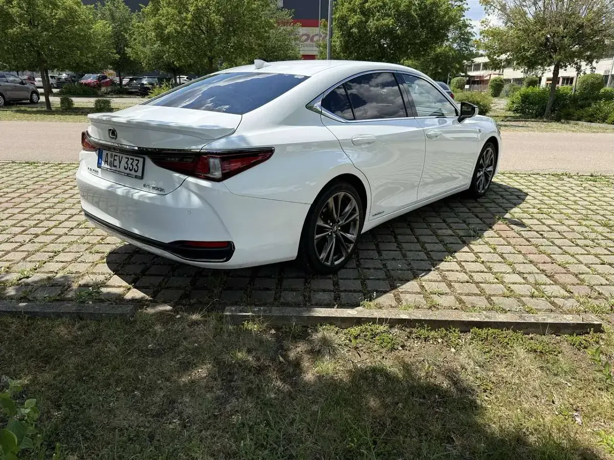 Gebraucht Lexus ES300H Sport Line 218 PS (160 kW) 2019 Weiß Limousine