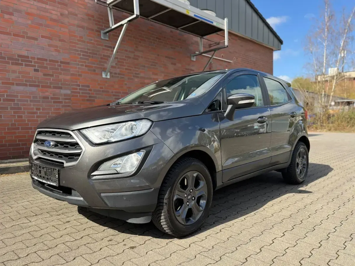 Usado Ford Ecosport Trend 101 CV (74 kW) 2020 Gris SUV