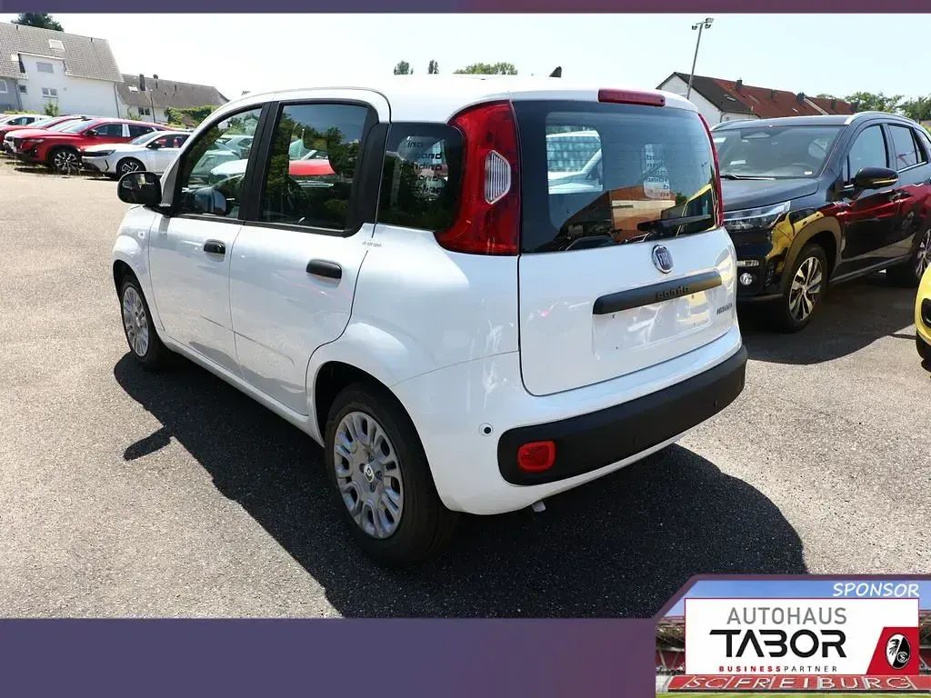 Neu Fiat Panda Pop 65 PS (47 kW) 2026 Gelato weiß Kleinwagen
