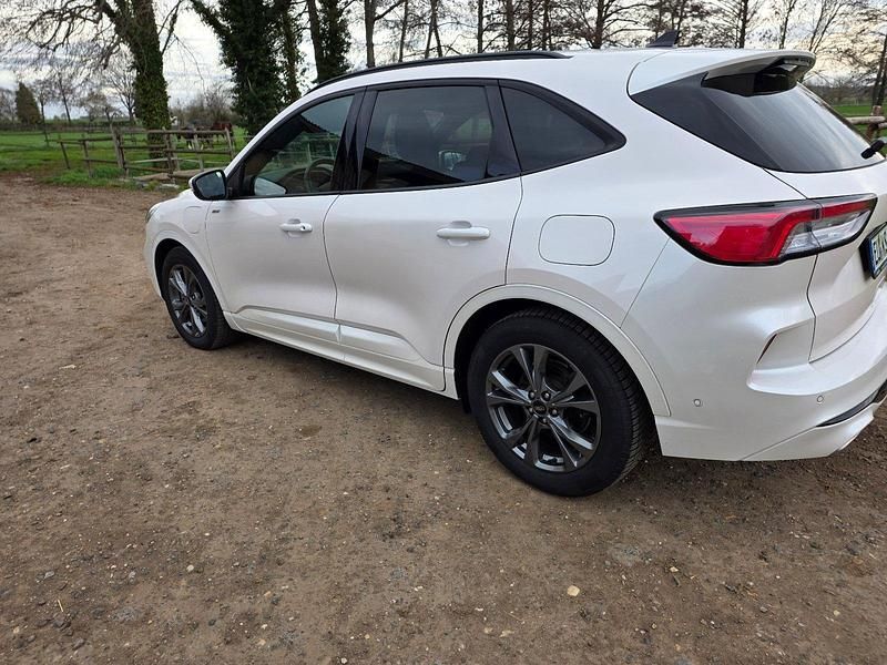 Gebraucht Ford Kuga ST-Line X 250 PS (183 kW) 2020 Weiß SUV