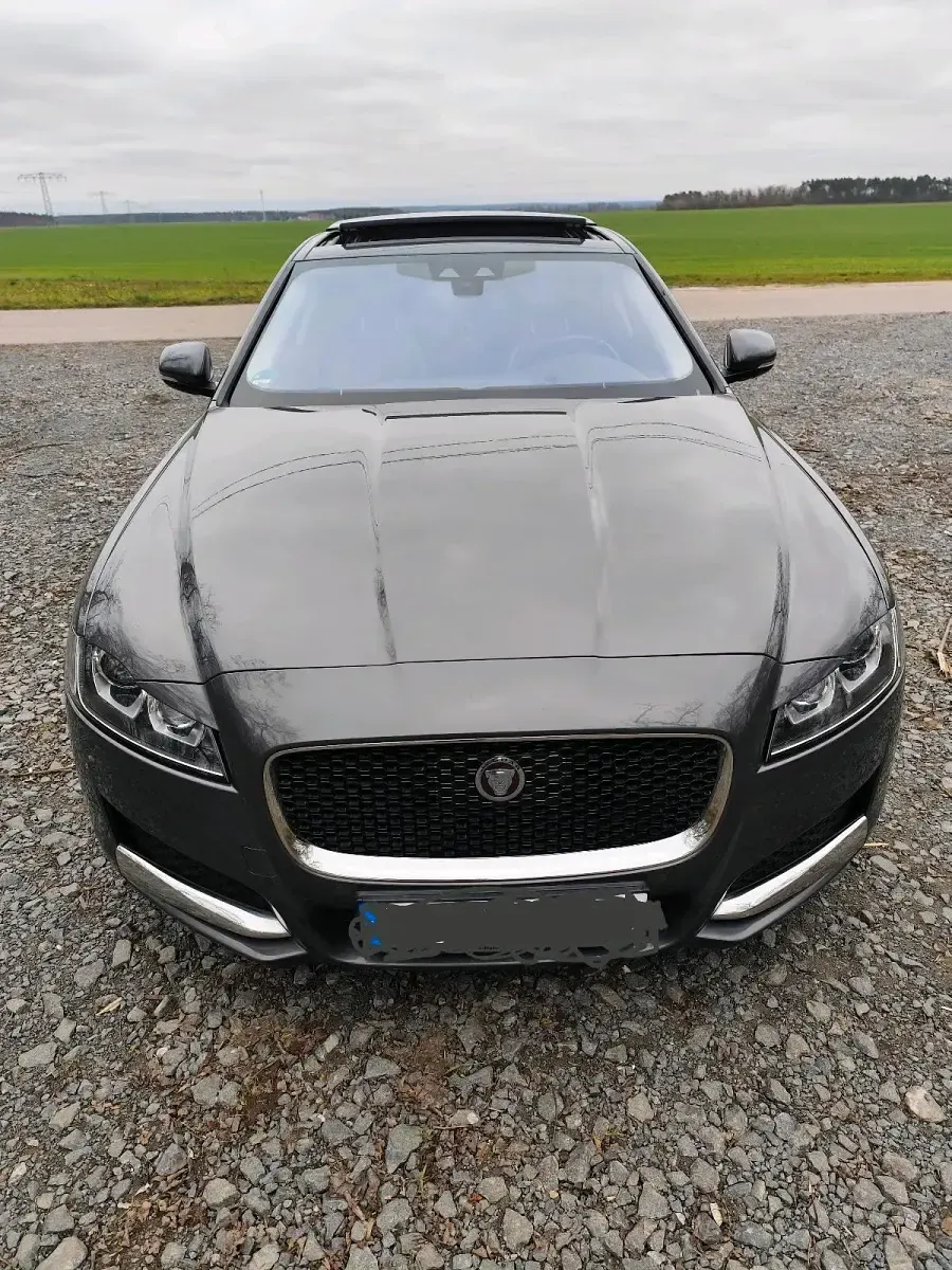 Gebraucht Jaguar XF 180 PS (132 kW) 2016 Grau Limousine