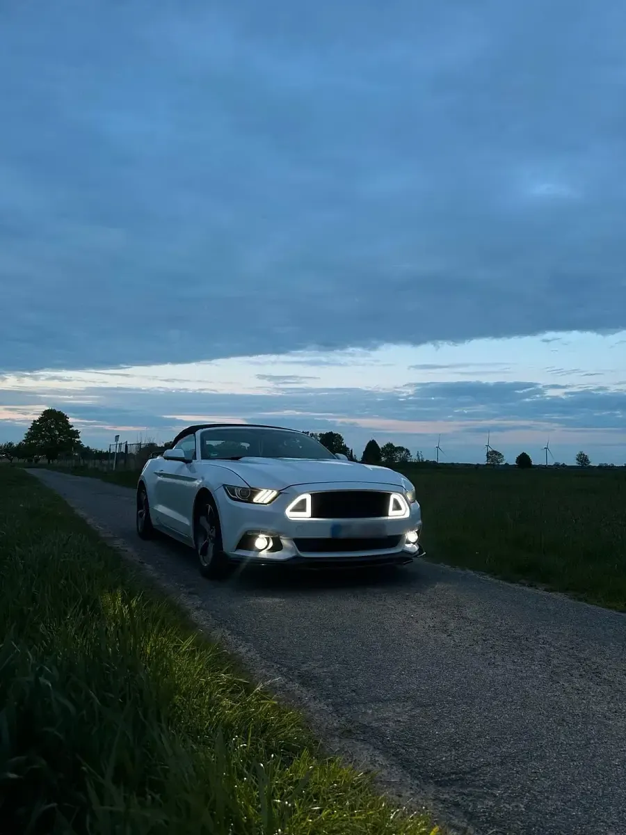 Gebraucht Ford Mustang 306 PS (225 kW) 2016 Weiß Cabrio