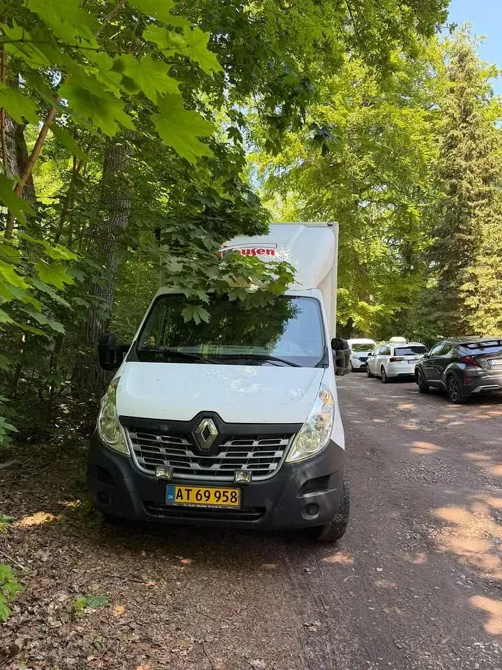 Gebraucht Renault Master 170 PS (125 kW) 2015 Van
