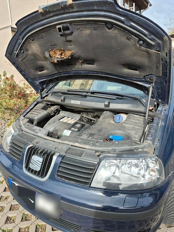 Second-hand Seat Alhambra 2008 Albastru Monovolum