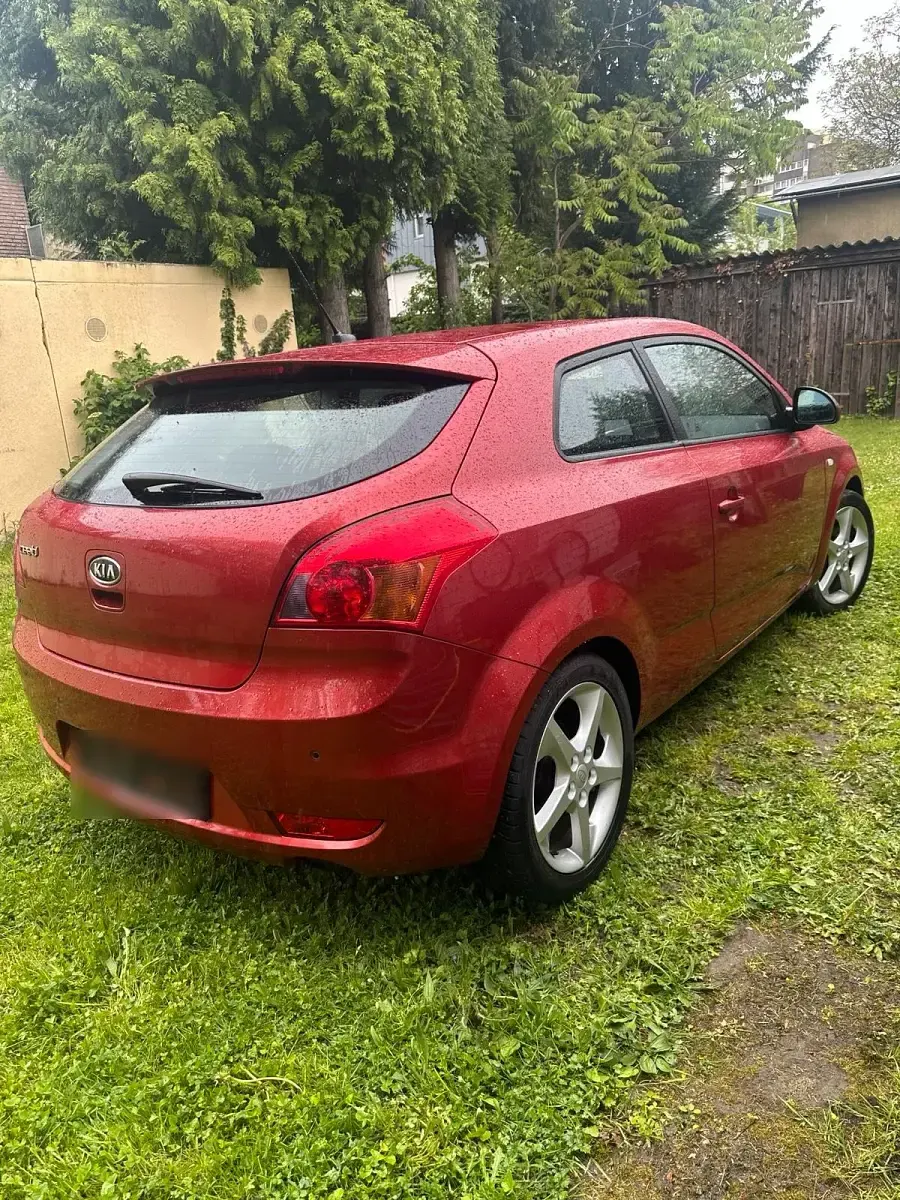 Używany Kia ProCeed 2009 Czerwony Hatchback