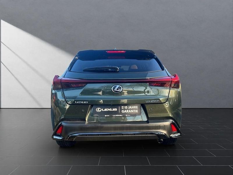 Gebraucht Lexus UX 250h Sport Line 152 PS (111 kW) 2024 Grün SUV