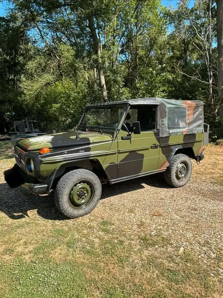 Gebraucht Mercedes G250 92 PS (67 kW) 1992 Grün SUV