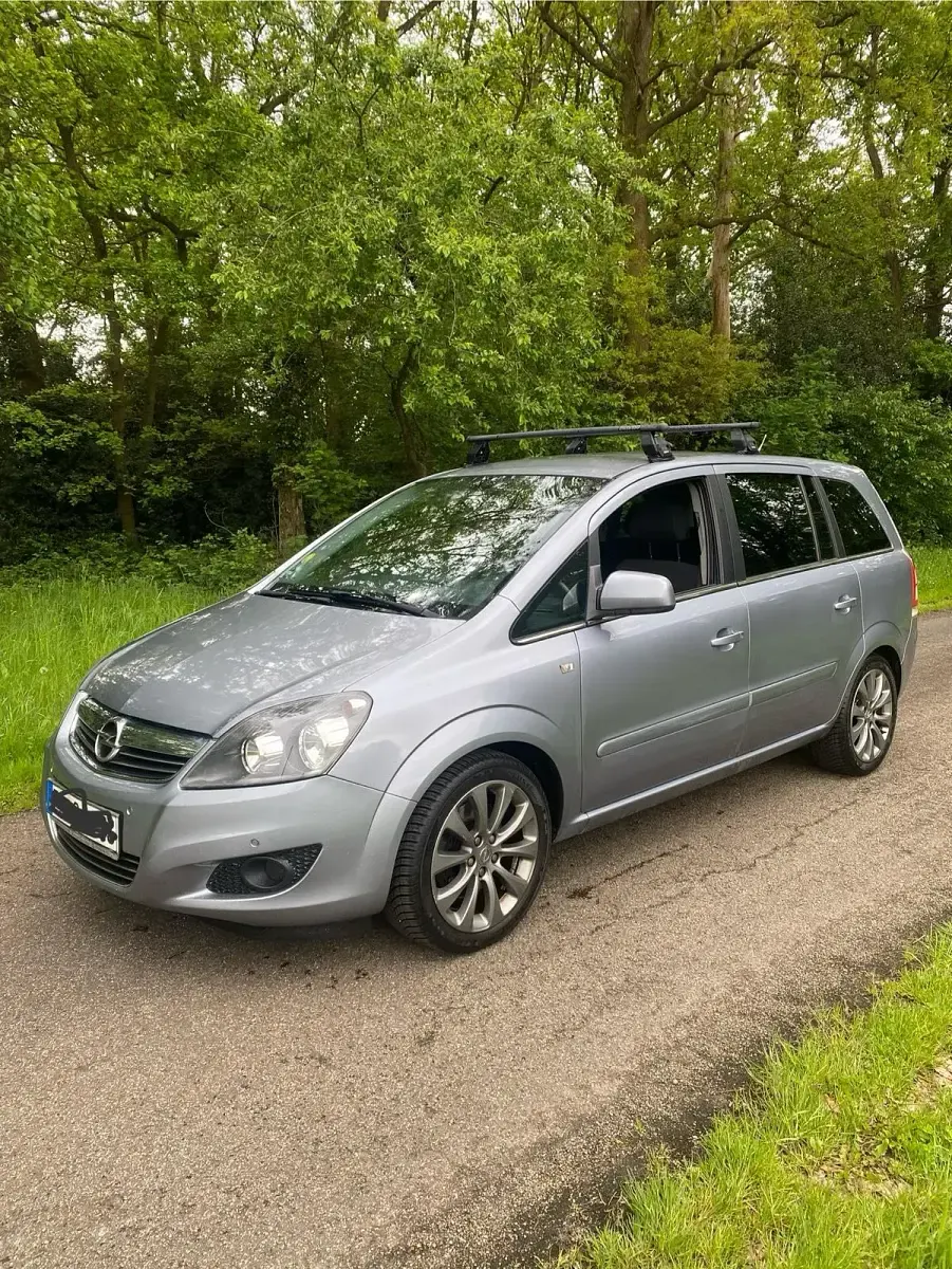 Gebraucht Opel Zafira 125 PS (91 kW) 2011 Blau Van / Kleinbus