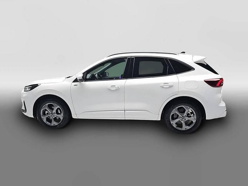 Usata Ford Kuga ST-Line 186 CV (136 kW) 2025 Bianco SUV