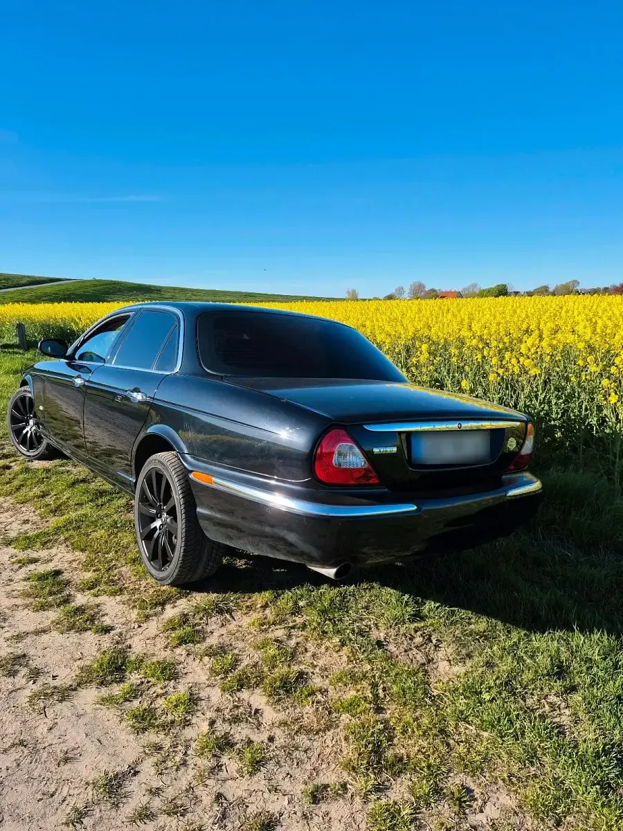 Gebraucht Jaguar XJ6 207 PS (152 kW) 2007 Schwarz Limousine