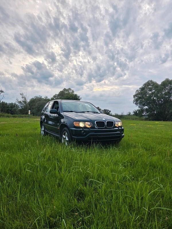 Grün Gebraucht 2002 BMW X5 SUV | 4.000 € (Superpreis) - Bild 1/4