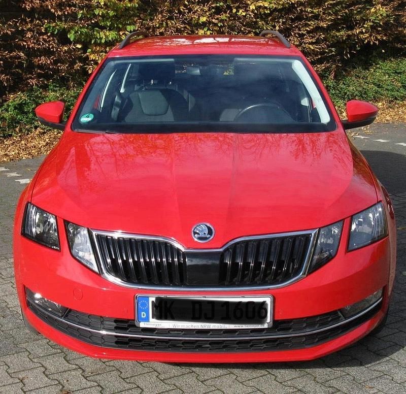 Gebraucht Skoda Octavia G-TEC 131 PS (96 kW) 2019 Rot Kombi