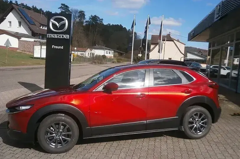Gebraucht Mazda CX-30 2020 Rot SUV