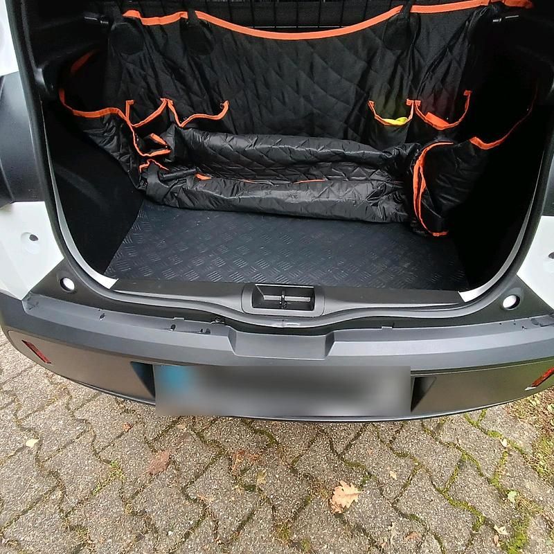 Gebraucht Dacia Spring Expression 44 kW (61 PS) 2025 Weiß Kleinwagen