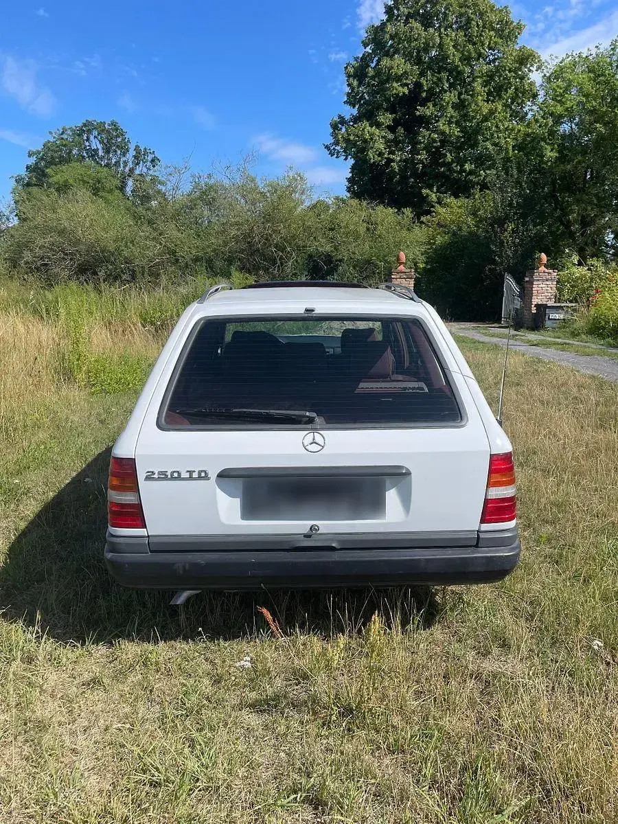Gebraucht Mercedes E250 90 PS (66 kW) 1988 Weiß Kombi