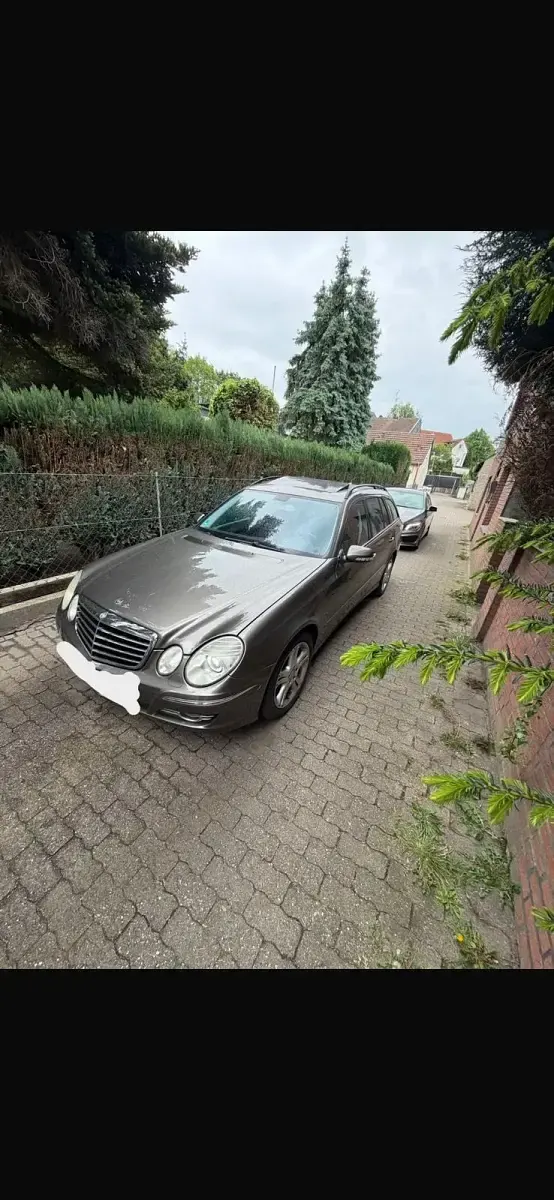 Gebraucht Mercedes E280 231 PS (169 kW) 2007 Beige Kombi