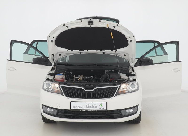 Verkauft Skoda Rapid SPACEBACK STYLEPL., gebraucht 2014 ...