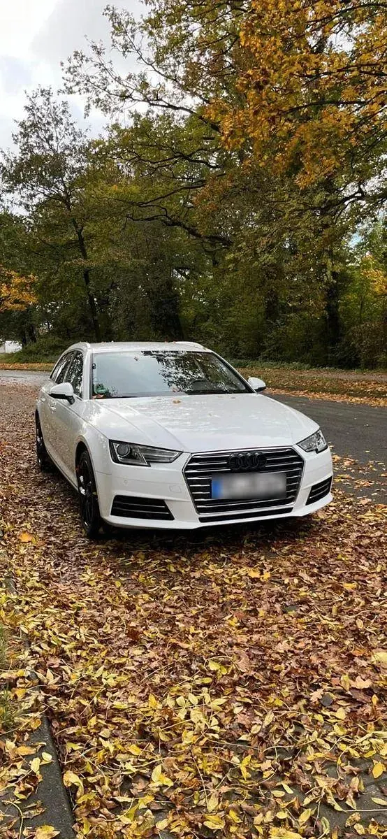 Używany Audi A4 Ambiente 218 KM (160 kW) 2016 Biały Kombi