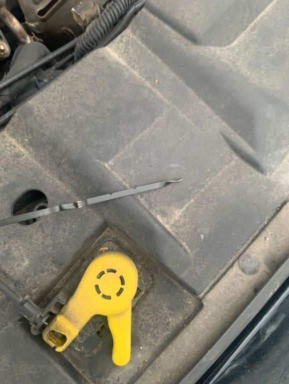 Gebraucht Ford Focus Trend 101 PS (74 kW) 2015 Limousine