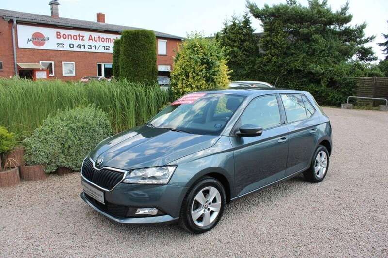 Grau Gebraucht 2020 Skoda Fabia Style Kleinwagen | 13.980 € (Fairer Preis) - Bild 1/4