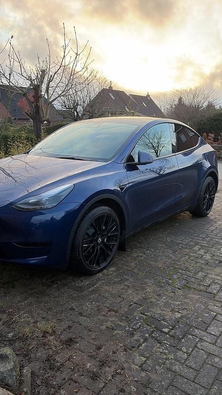 Gebraucht Tesla Model Y Standard Range 219 kW (299 PS) 2023 Blau SUV