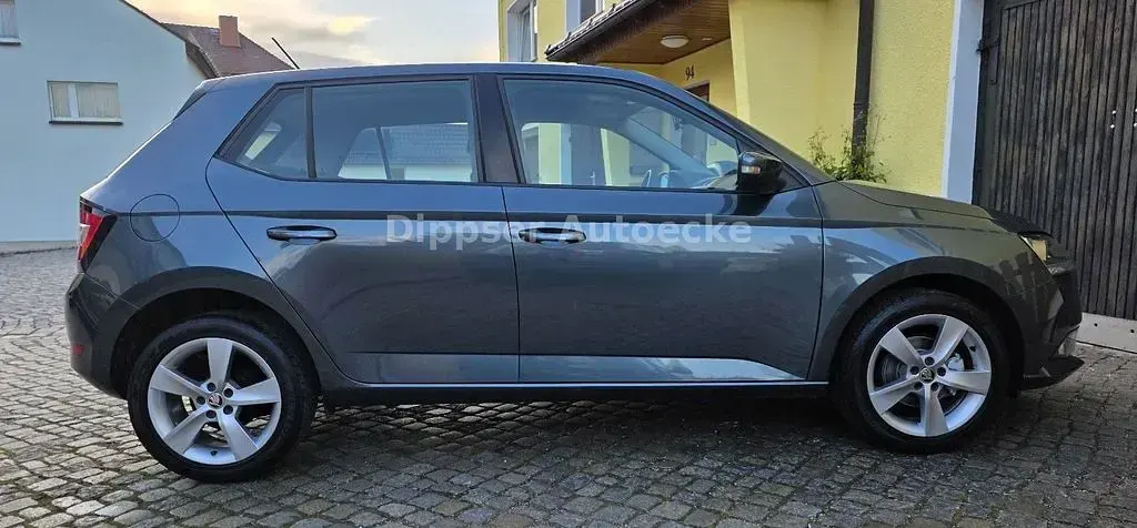 Gebraucht Skoda Fabia Cool Plus 60 PS (44 kW) 2020 Grau Kleinwagen