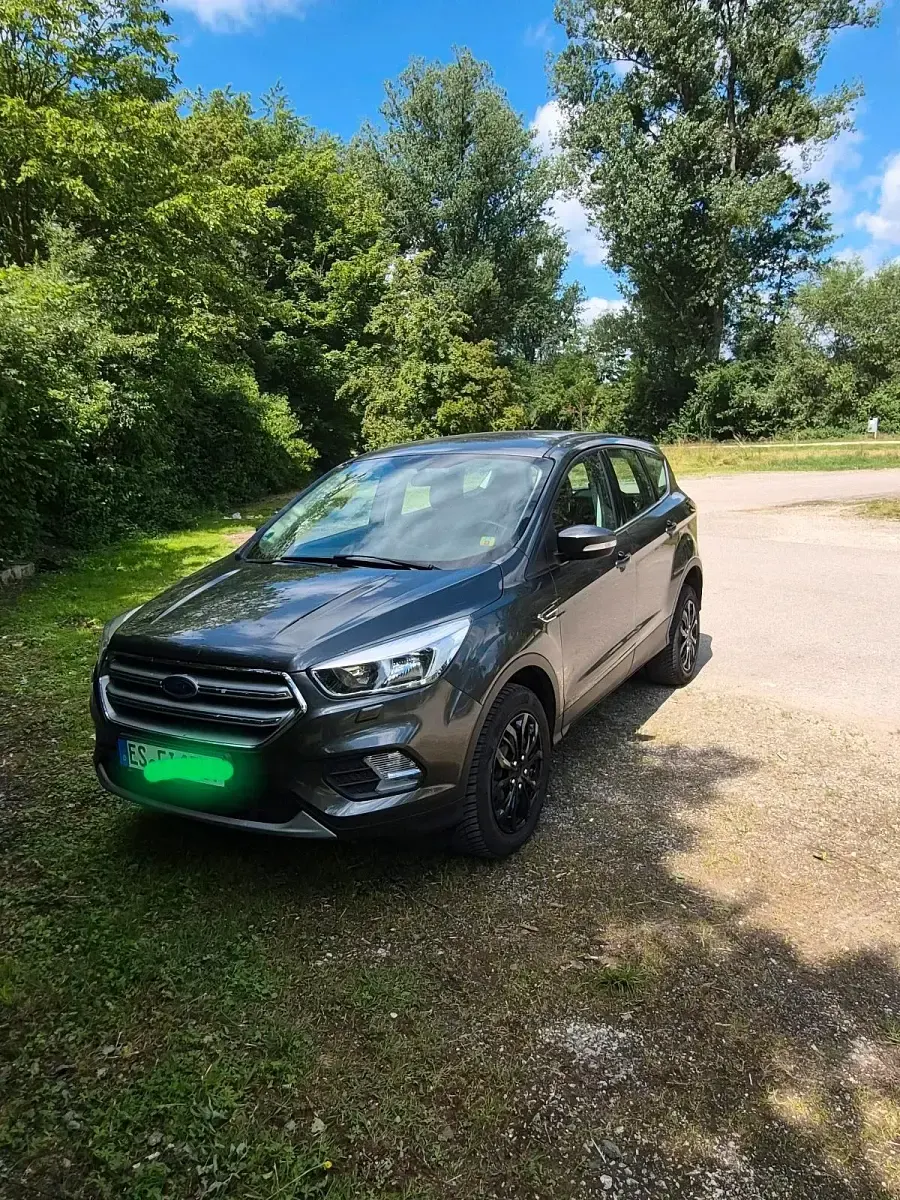 Gebraucht Ford Kuga Trend 120 PS (88 kW) 2019 Grau SUV
