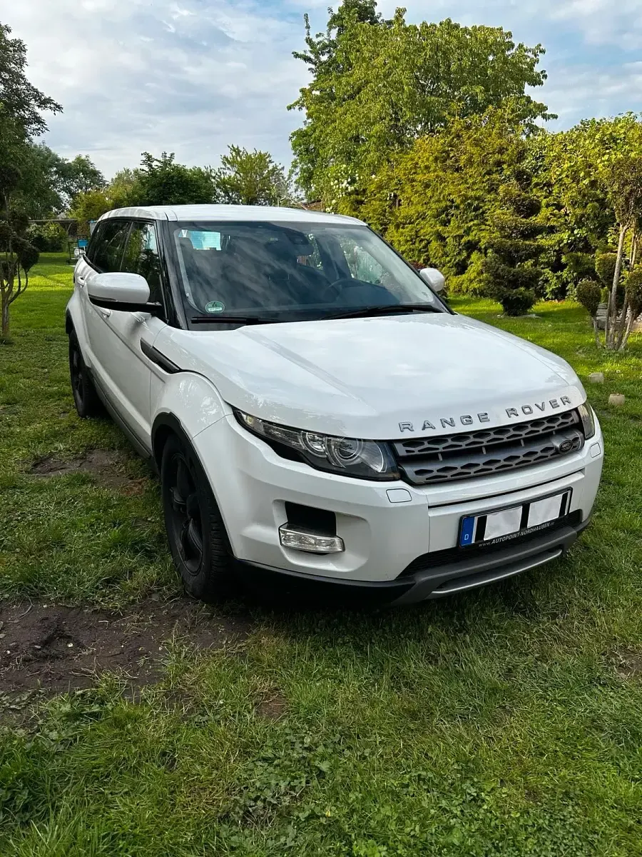 Gebraucht Land Rover Range Rover evoque 150 PS (110 kW) 2013 Weiß SUV