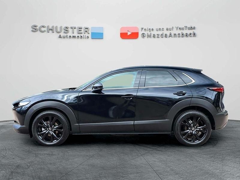 Gebraucht Mazda CX-30 Nagisa 140 PS (102 kW) 2024 Weiß SUV
