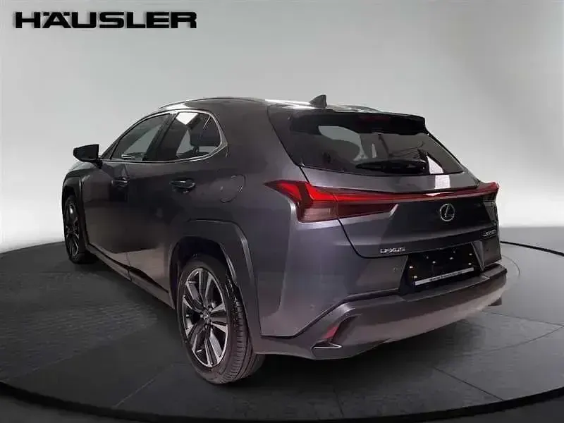 Gebraucht Lexus UX 2023 Grau SUV