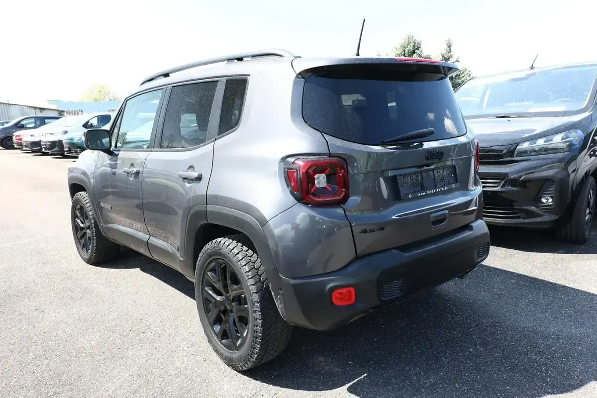 Gebraucht Jeep Renegade Limited 179 PS (131 kW) 2019 Grau metallic SUV