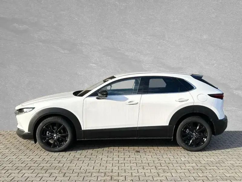 Gebraucht Mazda CX-30 Homura-Line 122 PS (89 kW) 2024 Arctic white SUV