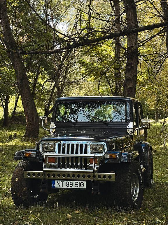 Schwarz Gebraucht 1990 Jeep Wrangler SUV | 12.500 € - Bild 1/4