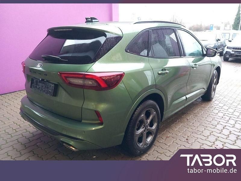 Gebraucht Ford Kuga ST-Line 186 PS (136 kW) 2024 Grün SUV