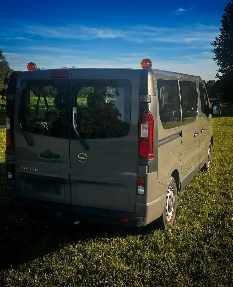 Gebraucht Opel Vivaro 2018 Grau Van / Kleinbus
