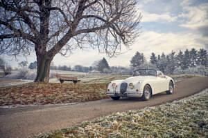 Gebraucht Jaguar XK S 256 PS (188 kW) 1958 Weiß Cabrio