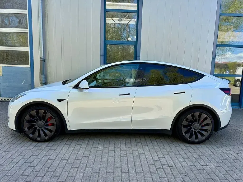 Occasion Tesla Model Y Performance 392 kW (533 ch) 2023 Blanc SUV