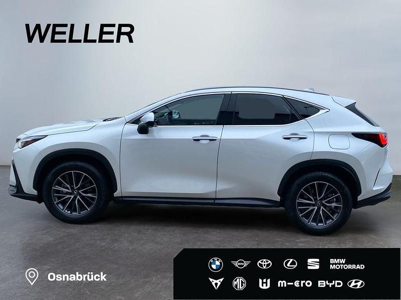 Gebraucht Lexus NX350h Executive Line 243 PS (178 kW) 2024 Weiss SUV