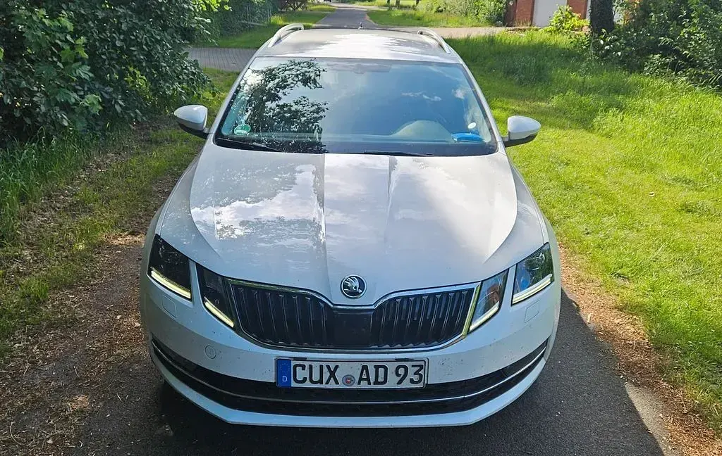 Gebraucht Skoda Octavia G-TEC 110 PS (80 kW) 2018 Weiß Kombi