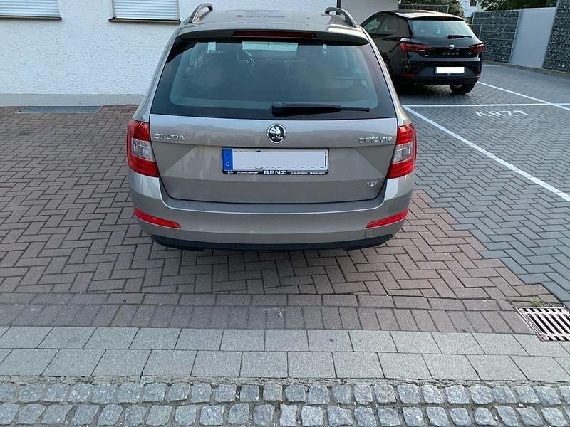 Gebraucht Skoda Octavia Active 105 PS (77 kW) 2013 Beige Kombi