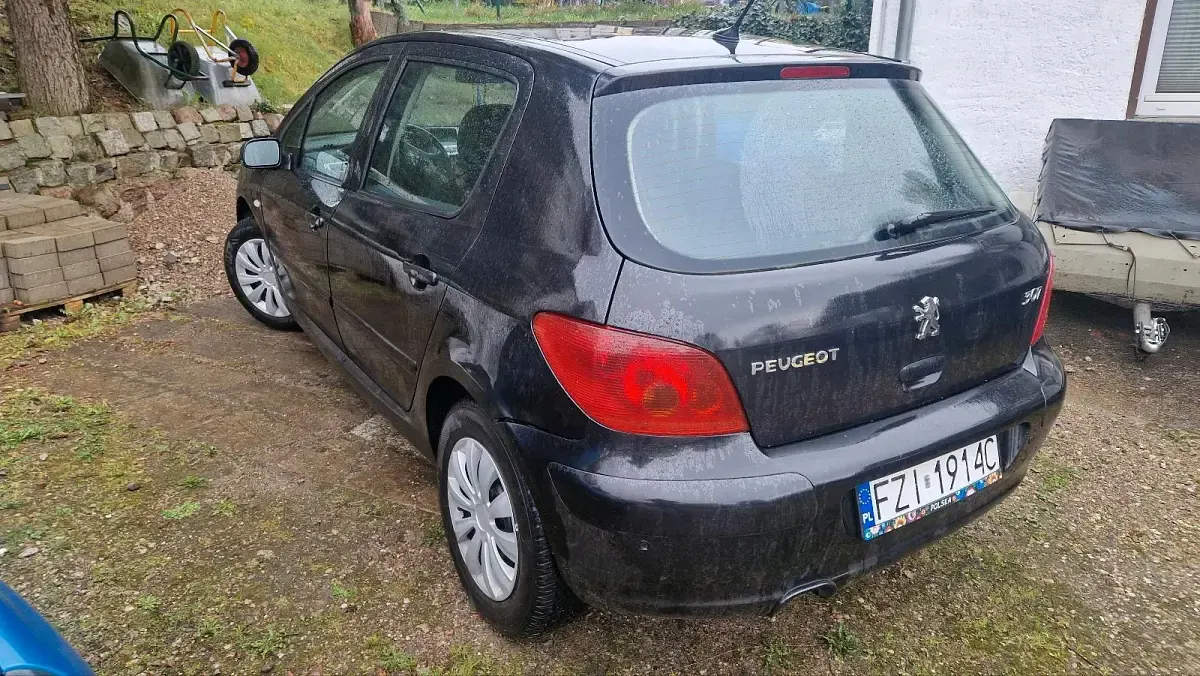 Gebraucht Peugeot 307 110 PS (80 kW) 2004 Blau Kombi