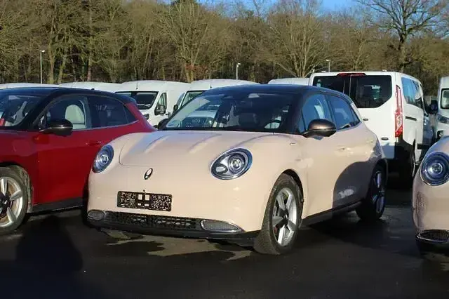Usata Ora 03 125 kW (171 CV) 2023 Beige Utilitaria