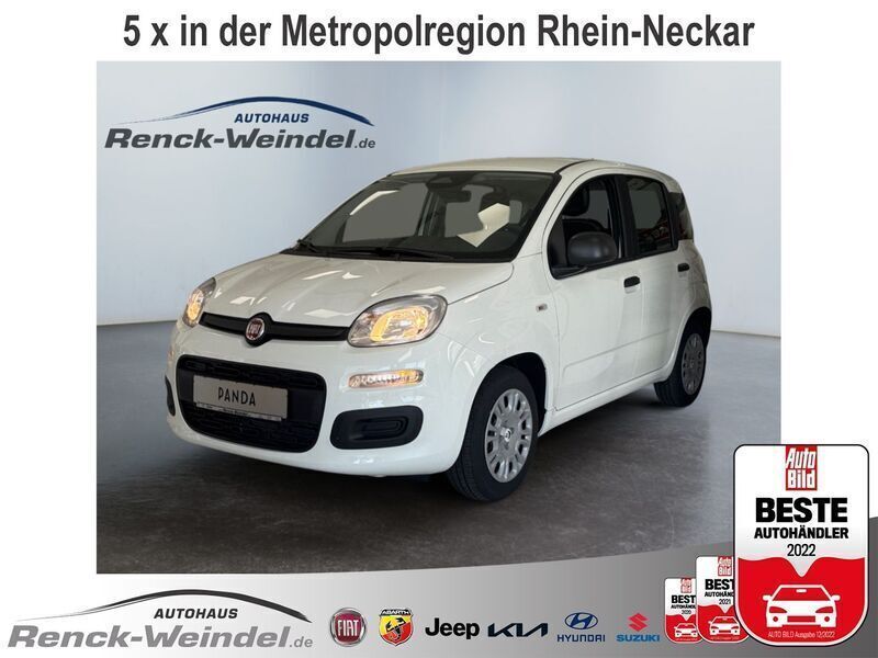 Weiss Neu 2025 Fiat Panda Kleinwagen | 15.989 € - Bild 1/4